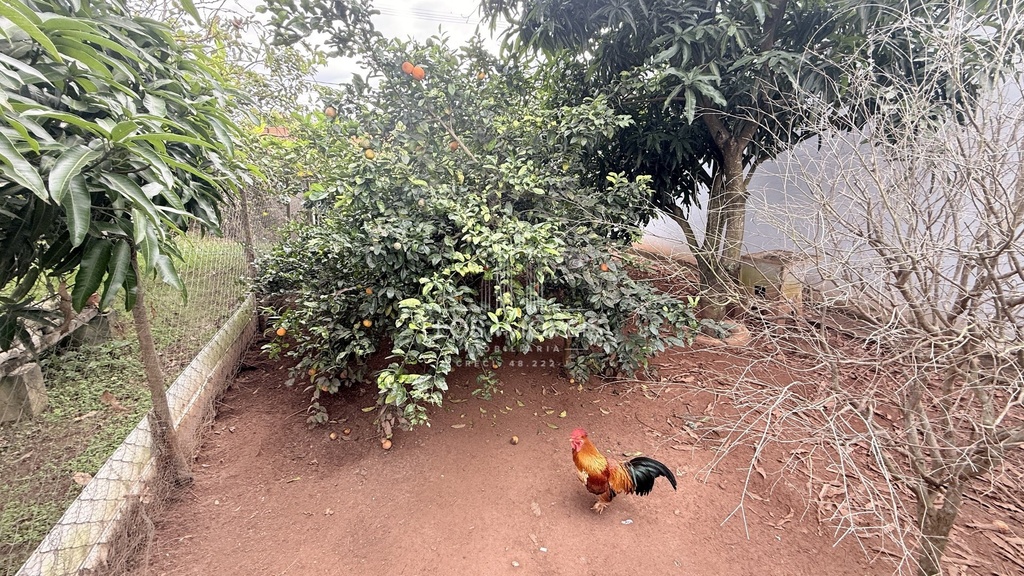 residential-/-farm-ranch-3-quartos-bairro-dos-pires-limeira-sp